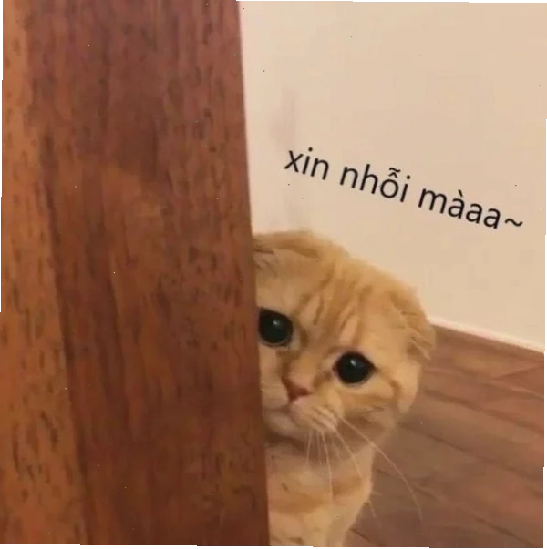 Nhân vật hoạt hình cầm biển xin lỗi làm hình nền xin lỗi