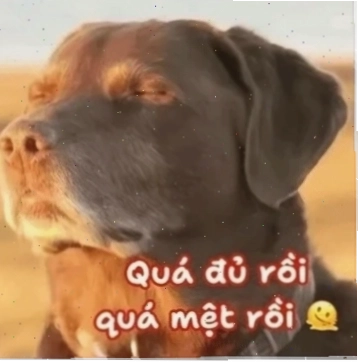 Hoạt hình kiệt sức Nhân vật hoạt hình kiệt sức làm nên quá đủ rồi quá mệt rồi meme