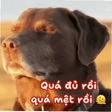 Nhân vật hoạt hình kiệt sức làm nên quá đủ rồi quá mệt rồi meme