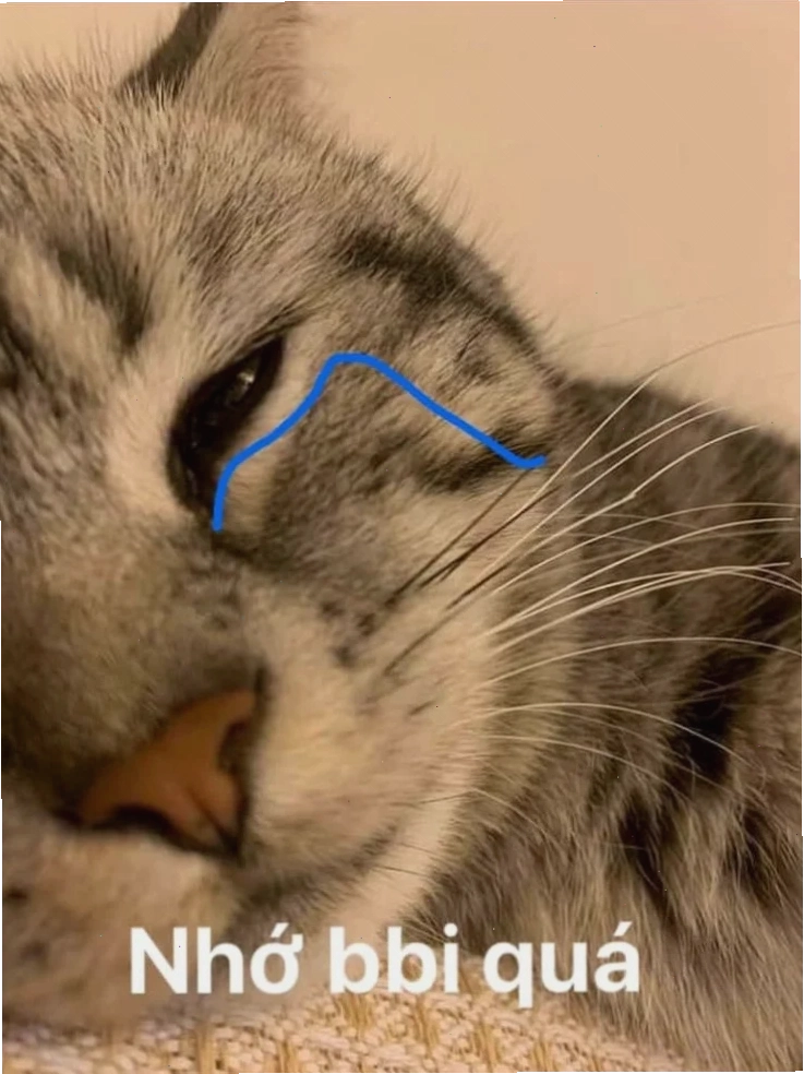 nhớ em meme buồn