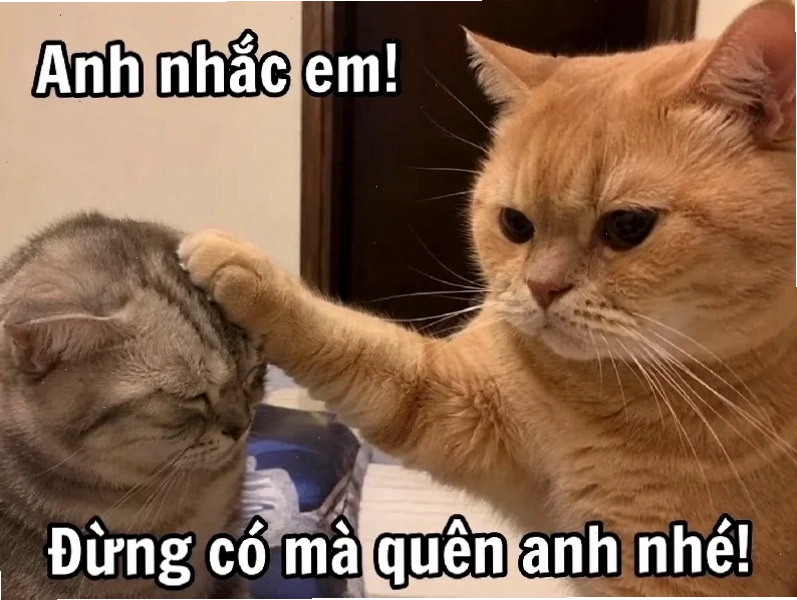 nhớ em meme cuối tuần