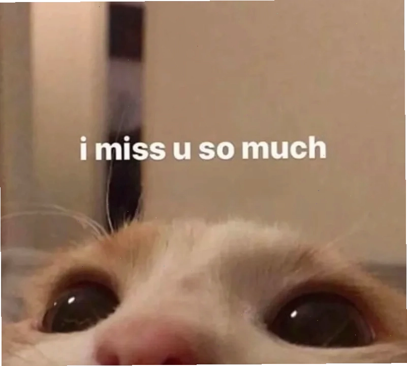 nhớ em meme sáng sớm