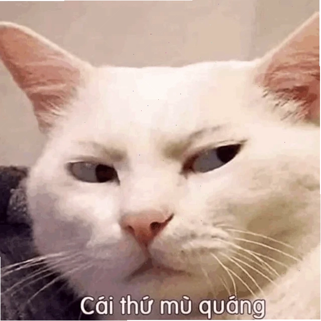 meme mù mắt phản xạ né thị giác