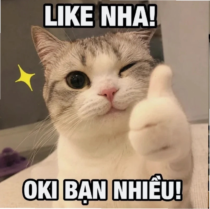 phong cách hài hước phong cách là sao meme