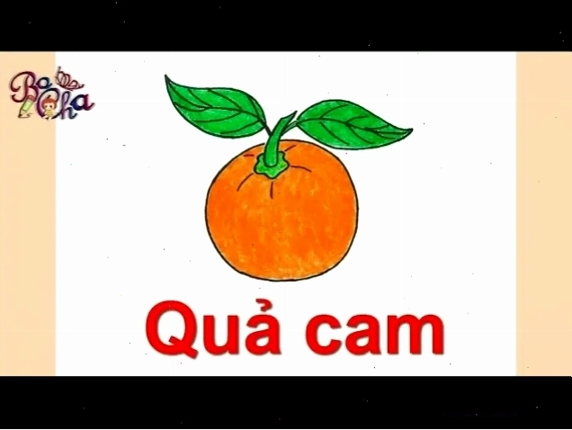 Cam sáng tạo Quả cam sáng tạo
