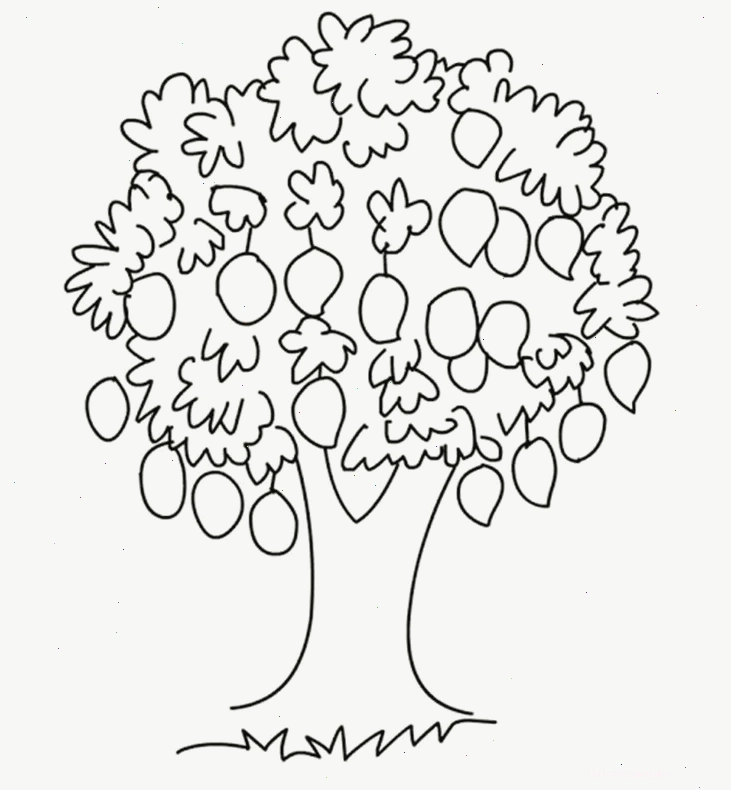 quả xoài tô màu vui nhộn