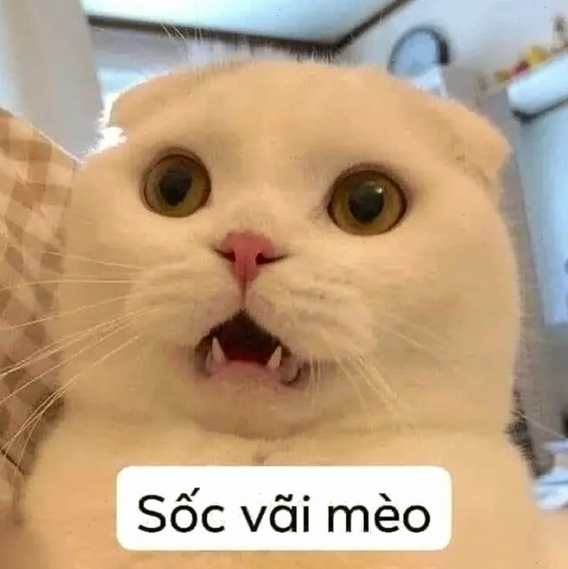 góc nhìn chuyên gia quan điểm là sao meme