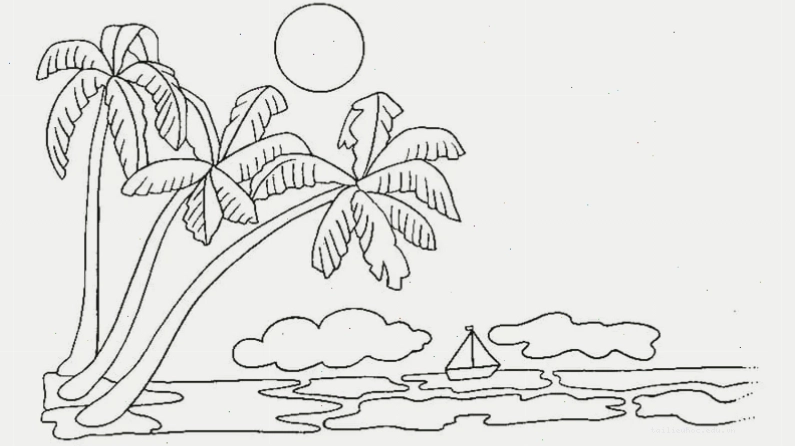 rong biển và sinh vật