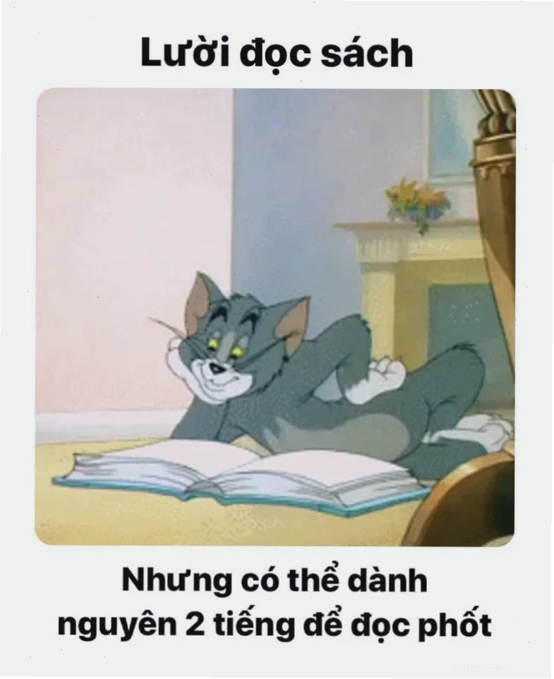 sách meme sách meme