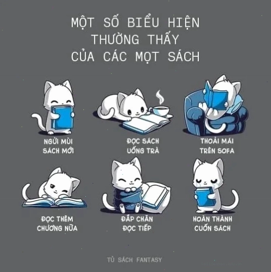 sách meme sách meme
