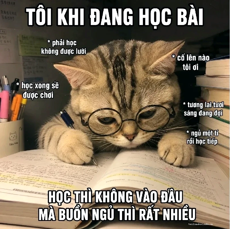 sách meme sách meme