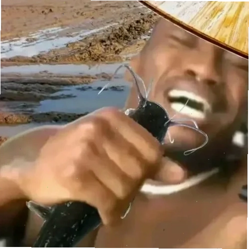 ăn ba tô cơm meme Sáng tạo cùng ăn ba tô cơm meme