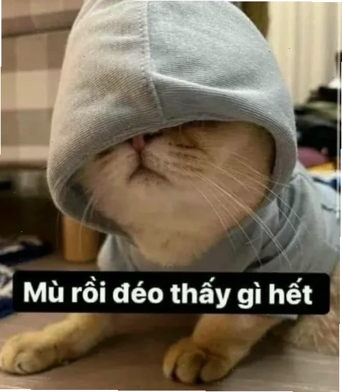 mù meme shiba shiba che mắt đầy ngại ngùng