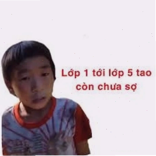 sợ quá meme sợ quá meme biểu cảm