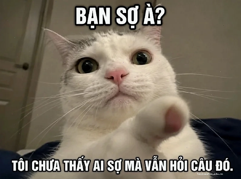 sợ quá meme sợ quá meme chuột hamster