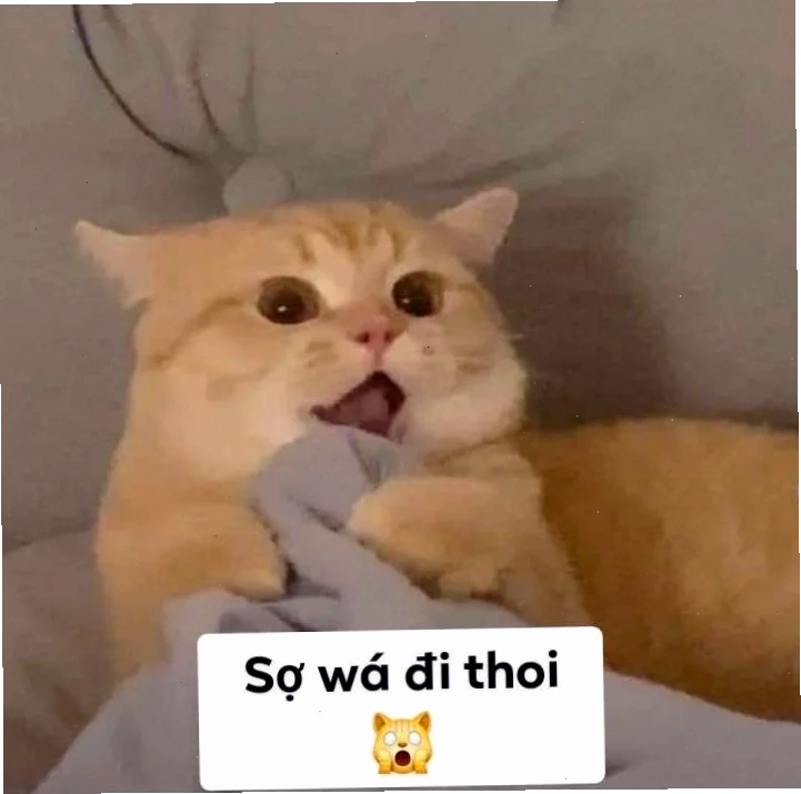 sợ quá meme độ mixi sợ quá meme độ mixi