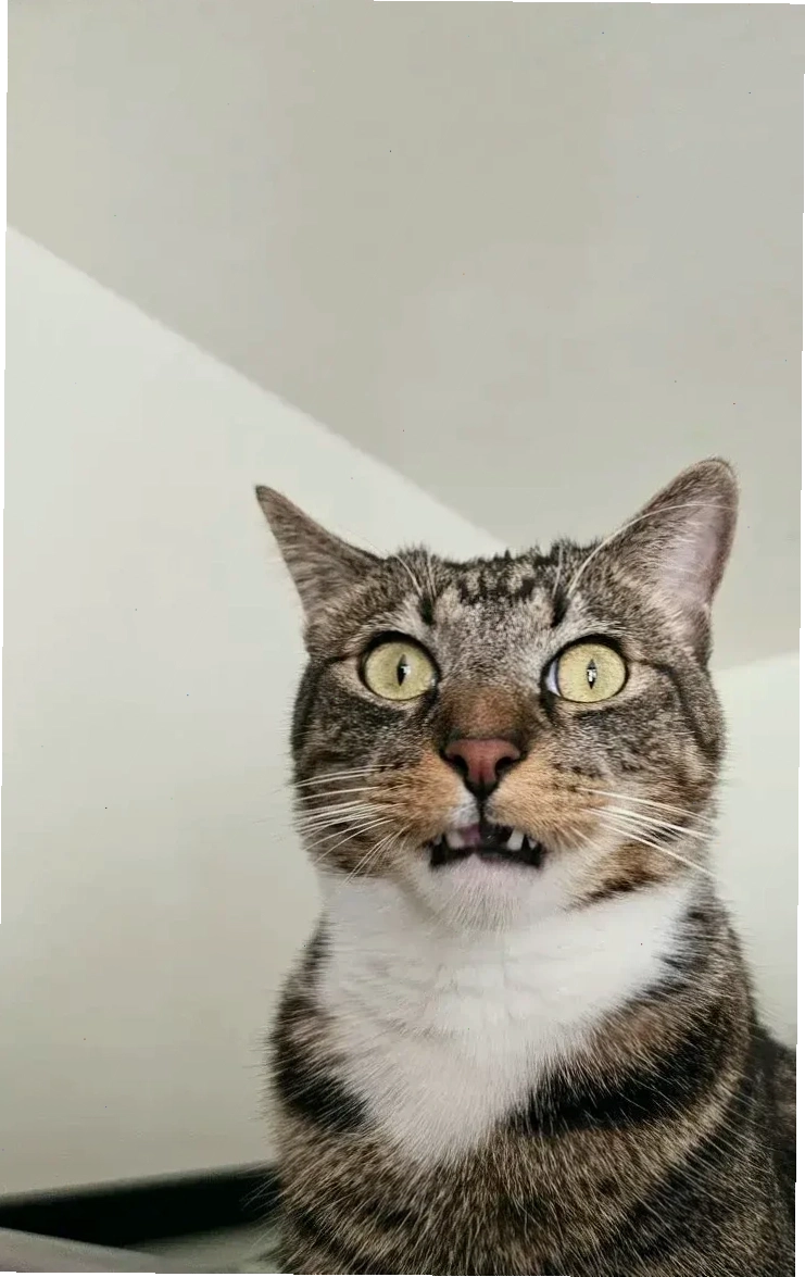 Mắt to Sốc meme với ánh mắt mở to của nhân vật