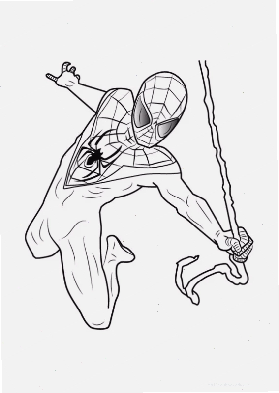 spider man tranh tô màu người nhện mạng nhện rõ nét