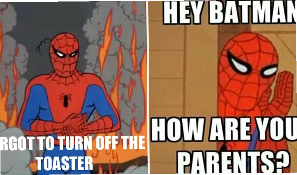 spiderman meme hot spiderman meme ấn tượng
