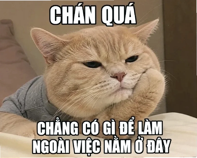 Phông chữ Sử dụng phông chữ hài hước tạo ảnh meme