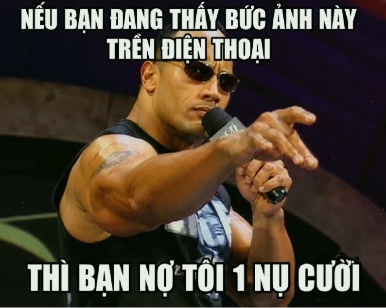 Tài liệu về meme trong trường hợp