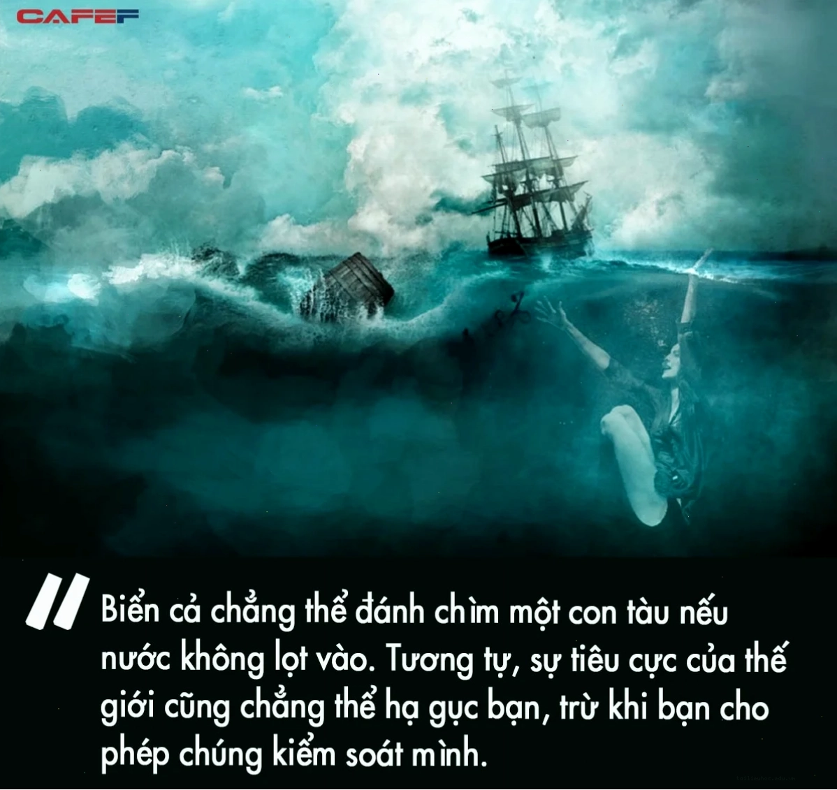 tâm bất biến giữa dòng đời vạn biến meme
