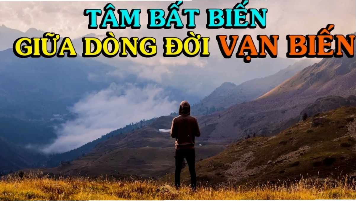 tâm bất biến giữa dòng đời vạn biến meme