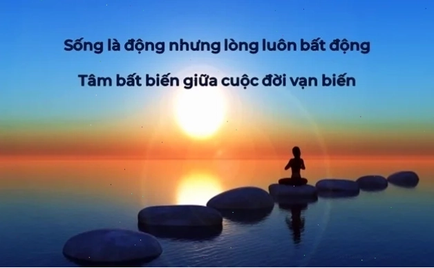 tâm bất biến giữa dòng đời vạn biến meme