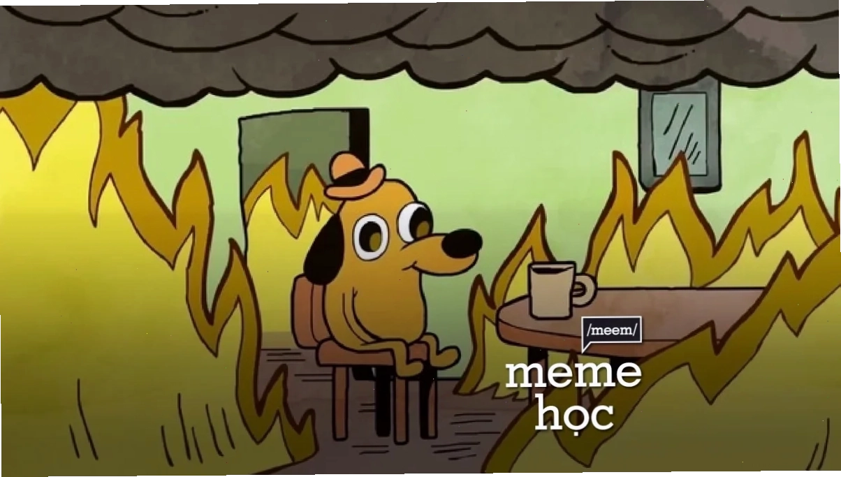 tâm bất biến giữa dòng đời vạn biến meme