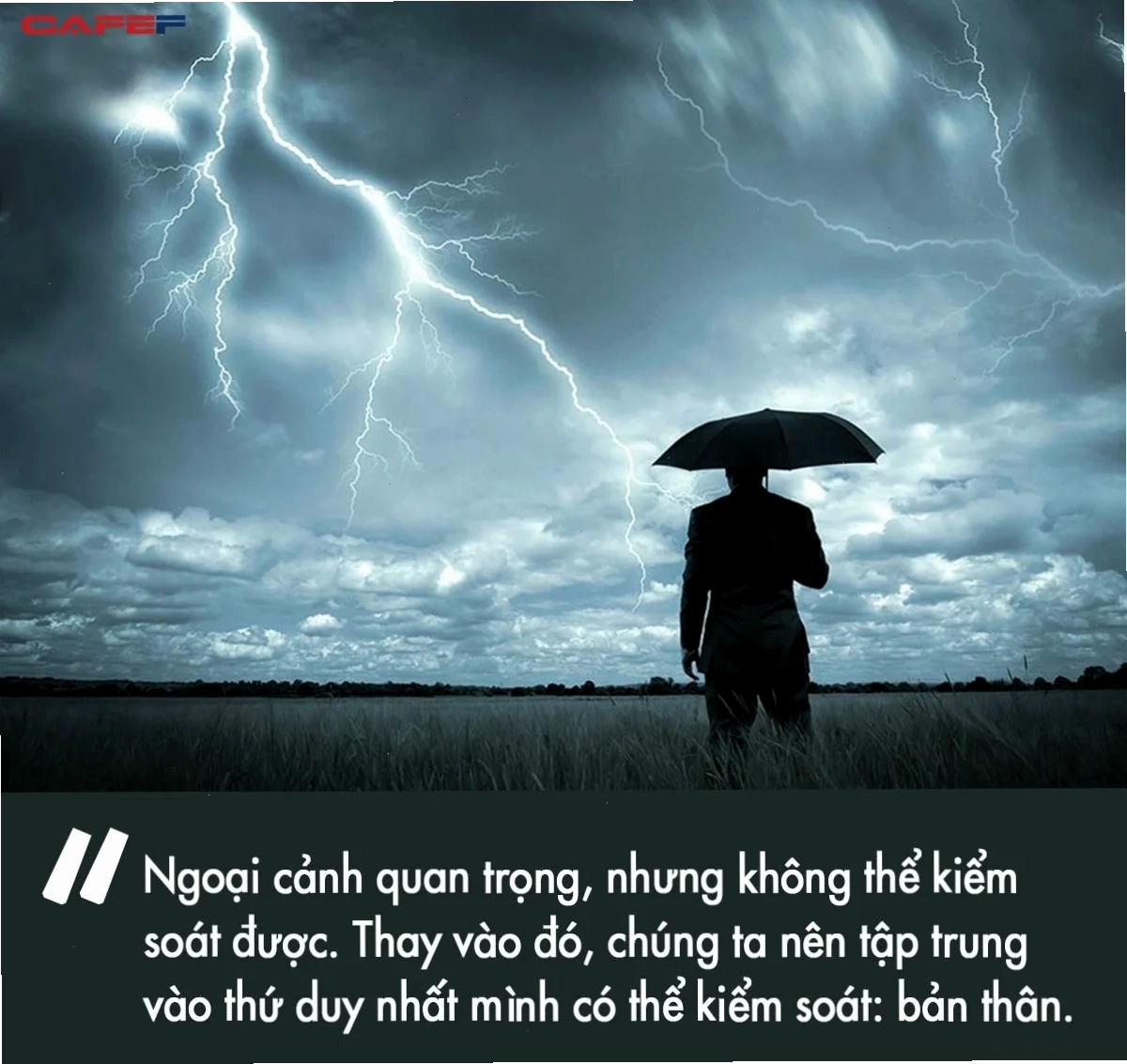 tâm bất biến giữa dòng đời vạn biến meme