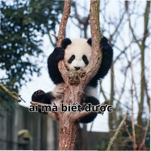 meme ai mà biết độc lạ tận hưởng không gian meme ai mà biết