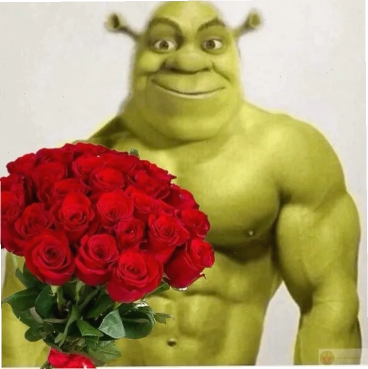 mèo tặng hoa hồng siêu to tặng em bông hoa meme ấn tượng