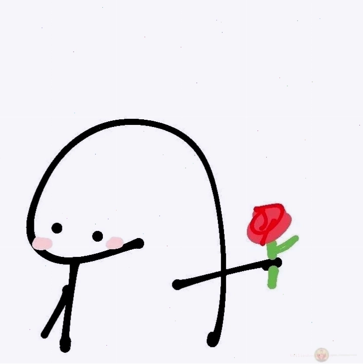 mèo cầm bông hoa nhỏ tặng em bông hoa meme độc đáo