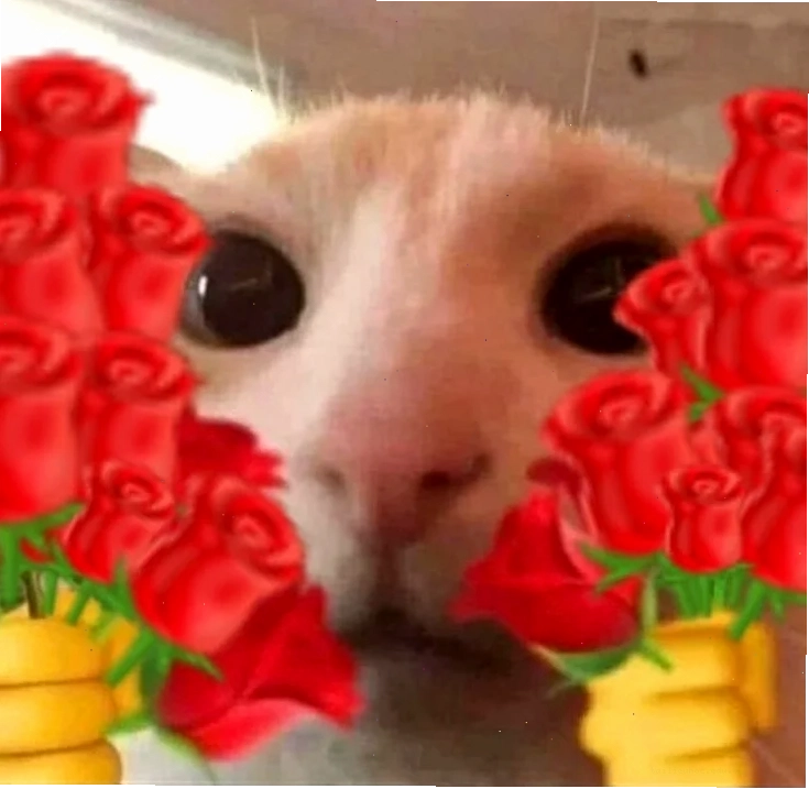 meme tặng hoa hồng tặng em bông hoa meme hài hước