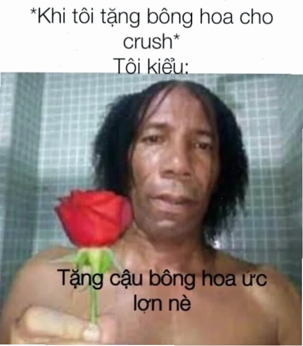 meme mèo tặng hoa hồng tặng em bông hoa meme phong cách