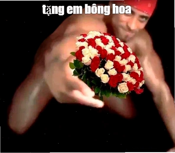 mèo nằm chill cùng hoa tặng em bông hoa meme siêu chill