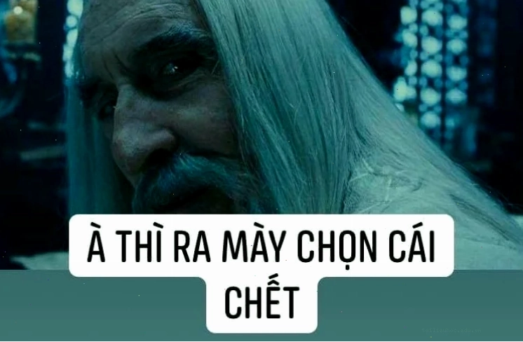 meme hài thì ra mày chọn cái chết meme hài