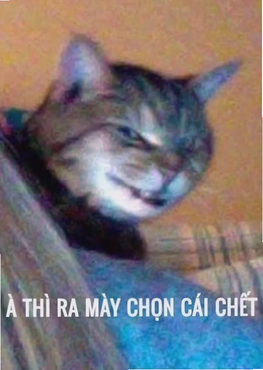 việt hóa meme thì ra mày chọn cái chết meme phiên bản việt
