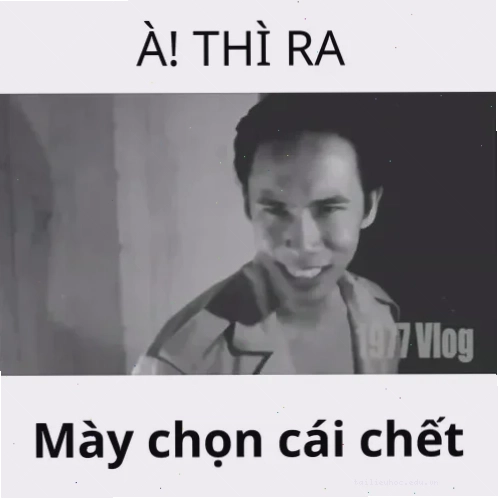 meme vlog thì ra mày chọn cái chết meme trong vlog