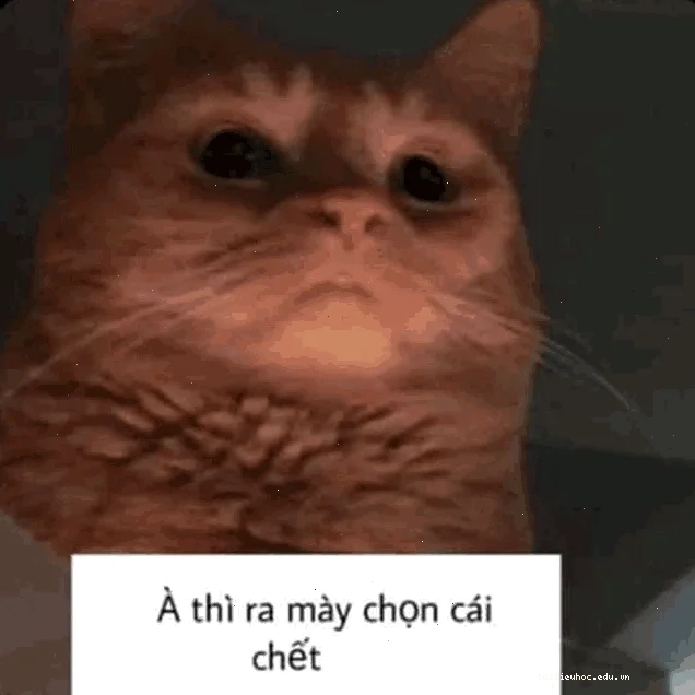 thì ra mày chọn cái chết meme viral
