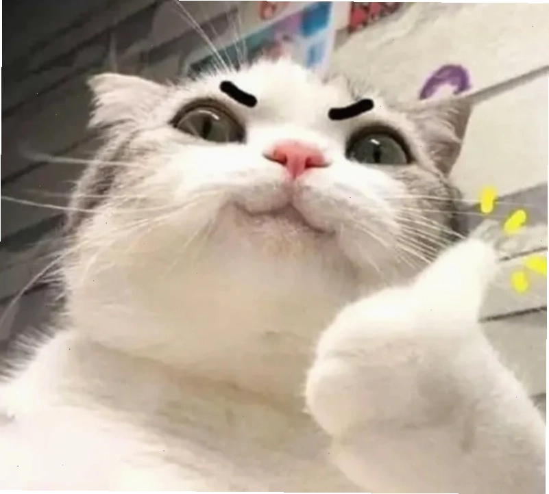 Thiên nhiên xinh đẹp tuyệt vời meme