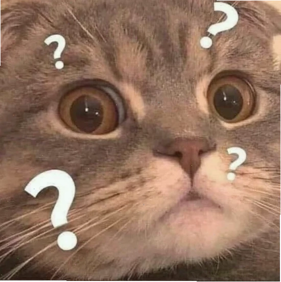 meme thời kỳ đầu thời kỳ là sao meme