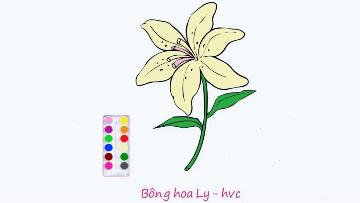 Thực hành vẽ Thực hành cách tô màu hoa ly đơn giản