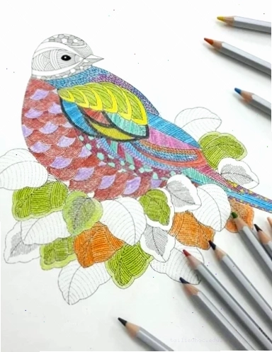 tô màu cho người lớn giấy in dày