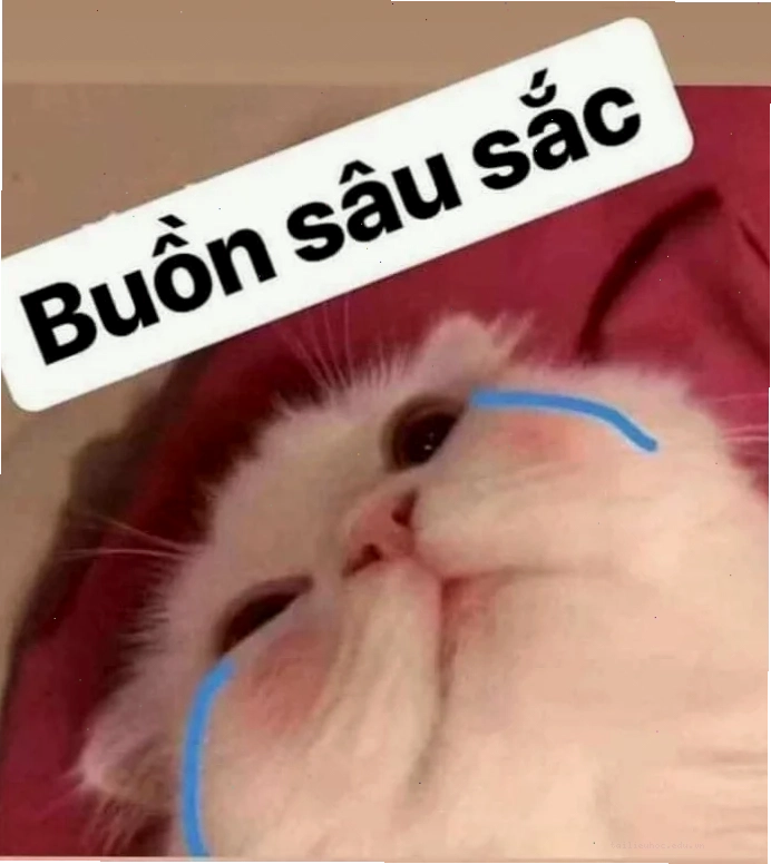 tổn thương meme tổn thương meme bạn bè