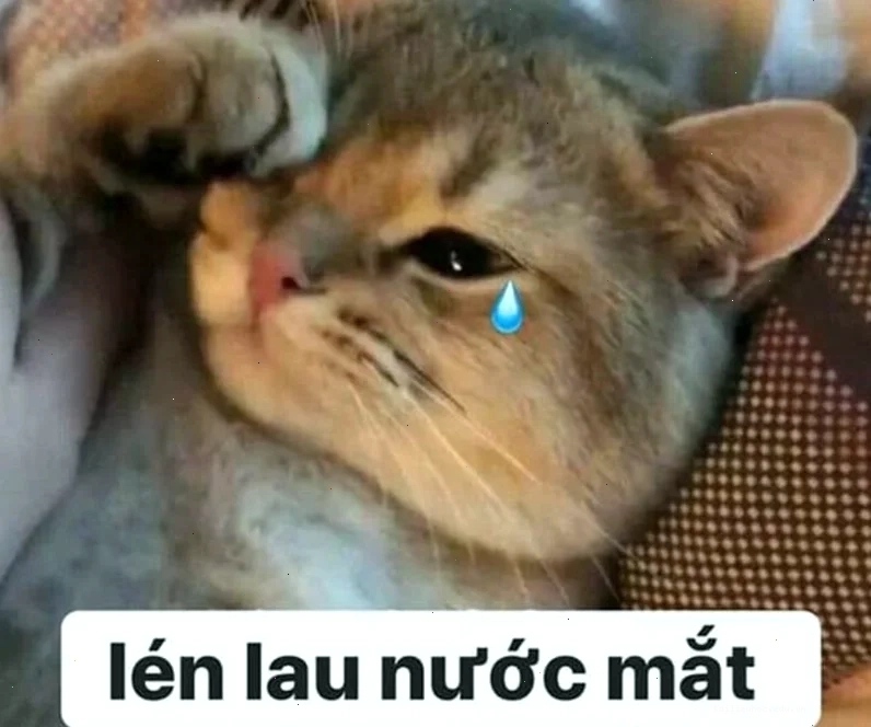 tổn thương meme tổn thương meme đáng yêu