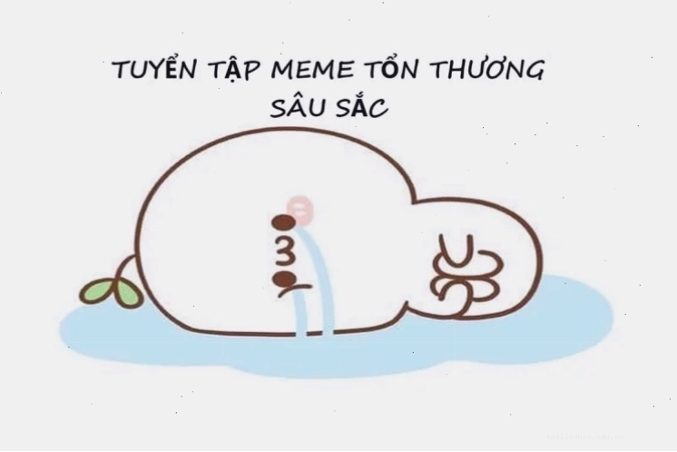 tổn thương meme tổn thương meme hài
