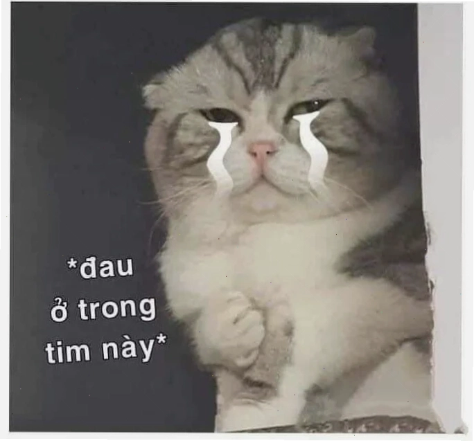 tổn thương meme tổn thương meme lạ