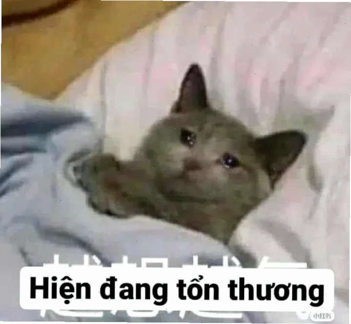 tổn thương meme tổn thương meme siêu hài