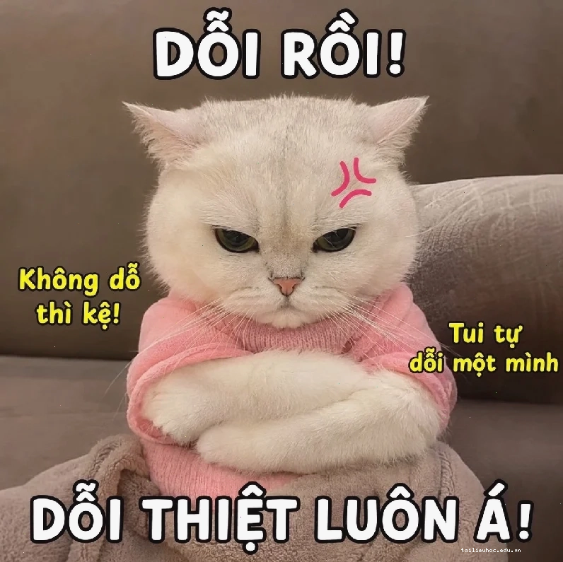 tổn thương meme tổn thương meme thú vị